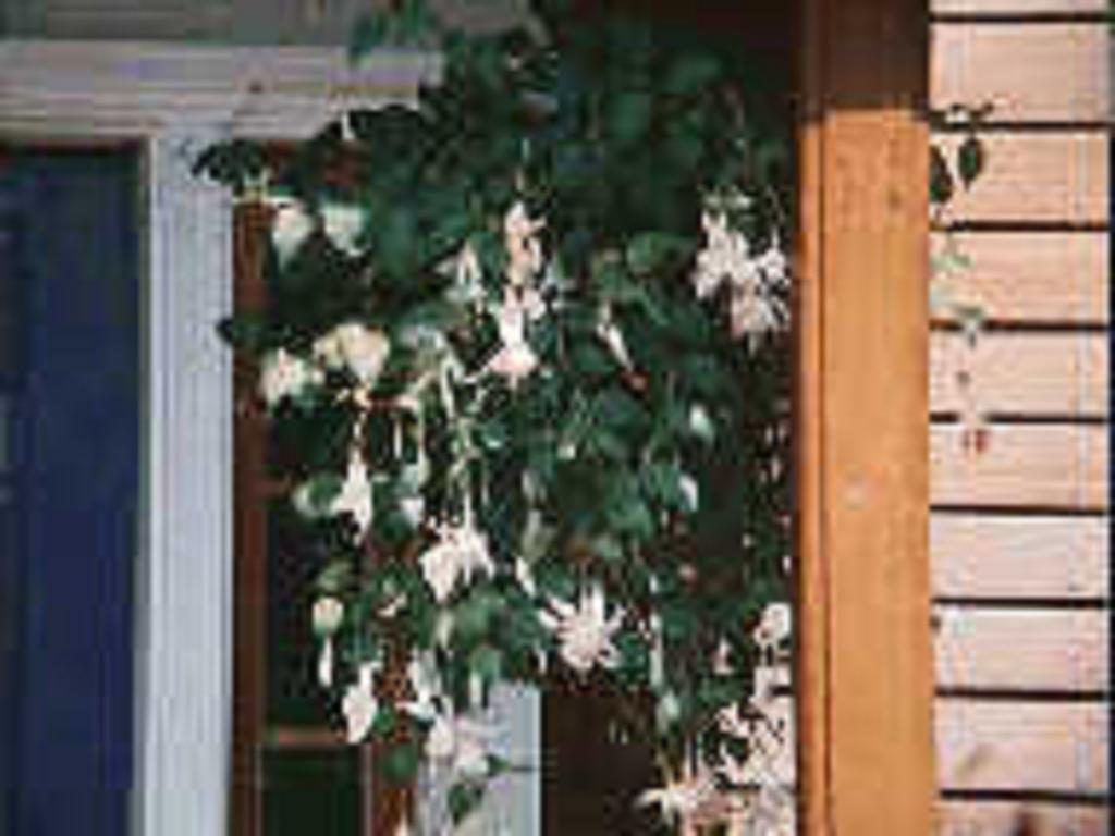 Chesapeake Inn Of Lenox Esterno foto